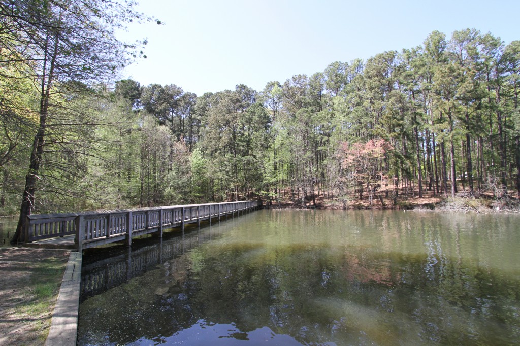 Bridge at Lake Claiborne State Park