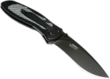 Kershaw Knives - Silver Blur - 1670SG10