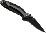 Kershaw Black Chive Knife 1600BLK