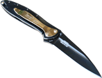 Kershaw Knives - Black and Gold Leek - 1660BG