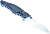 Kershaw Knives - Speed Bump - 1595