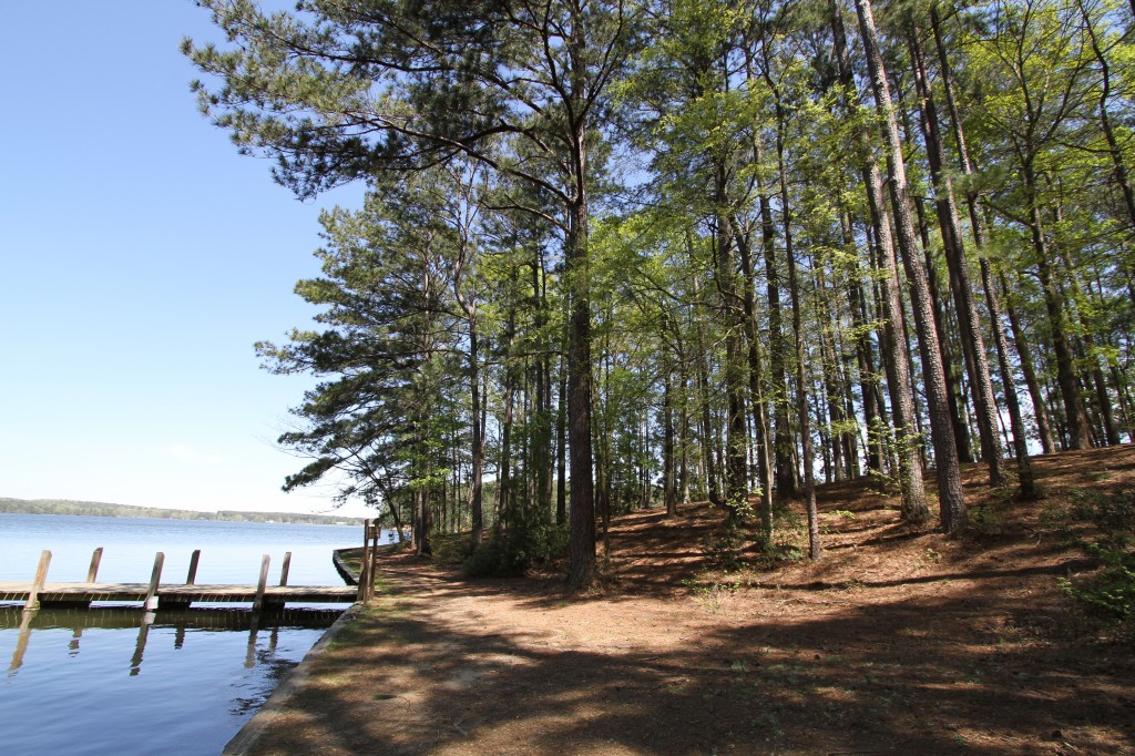 Trail along Lake Claiborne water's edge
