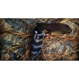 Zero Tolerance 0350TS TigerStripe Knife