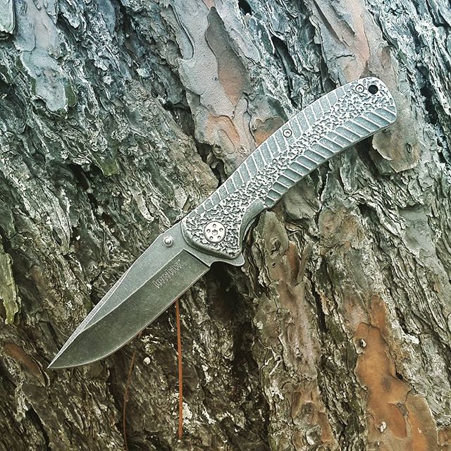 Kershaw 1301BW Starter Blackwash Knife