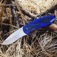 Kershaw Blur Navy Blue Knife 1670NBSW