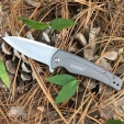 Kershaw Intellect  Framelock Knife 1810