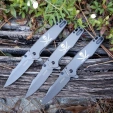 Kershaw Ferrite 1557TI Assisted Opening Knife