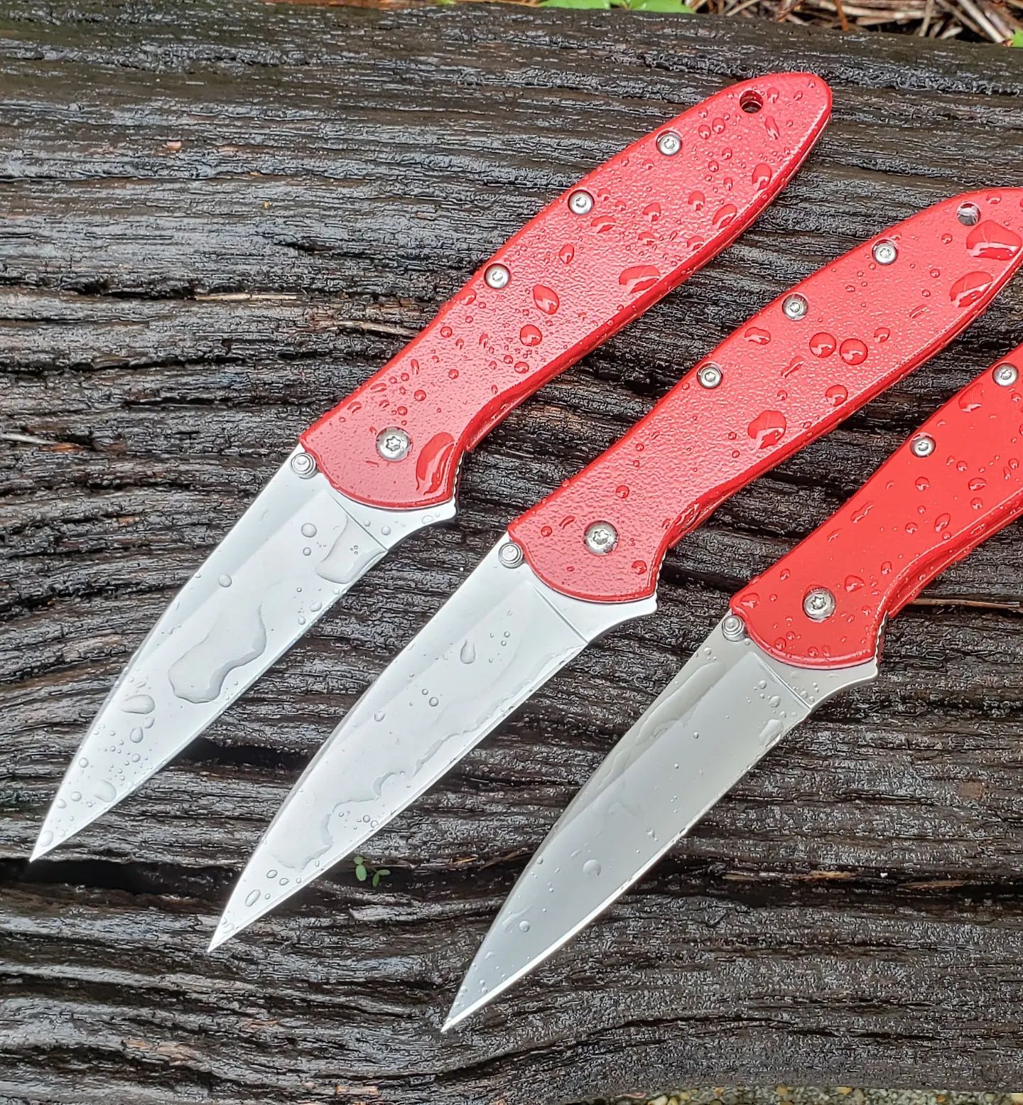 New color available for the Kershaw Leek - candy apple red. We disassemble the handles, charge them with static electricity, then puff powder coat onto them.  After that we put them in the oven to cure the power, leaving this beautiful cor and texture. 

https://www.kershaw-knives.net/Kershaw-Leek-Red-1660-RED

#kershawknives #kershawleek #powdercoating #knives