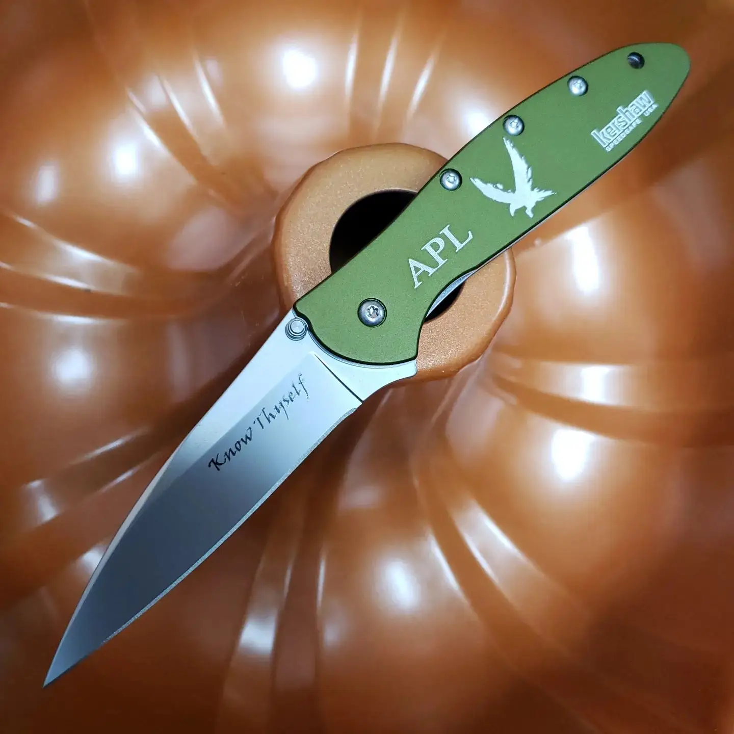 Laser engraving on this Kershaw Leek model 1660OL features a raven, initials, and words of encouragement on the blade. 

Kershaw-Knives.net 

#1660OL #kershawknives #kershawleek #knives #laserengraving