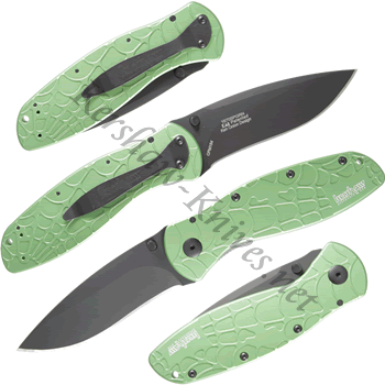 Kershaw Green Web Blur Knife 1670SPGRN