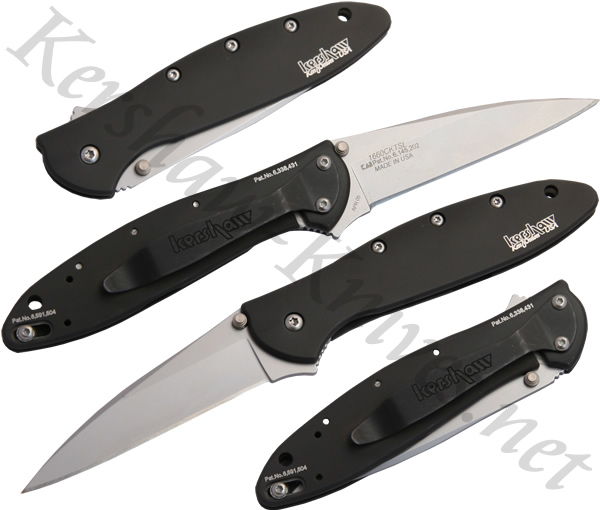 Kershaw Tungsten Leek Knife 1660CKTSL