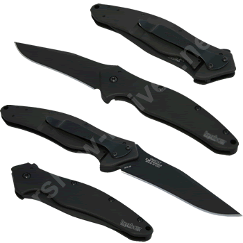 Kershaw Shallot Black 1840CKT